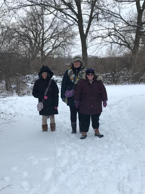 SnowyWalk2